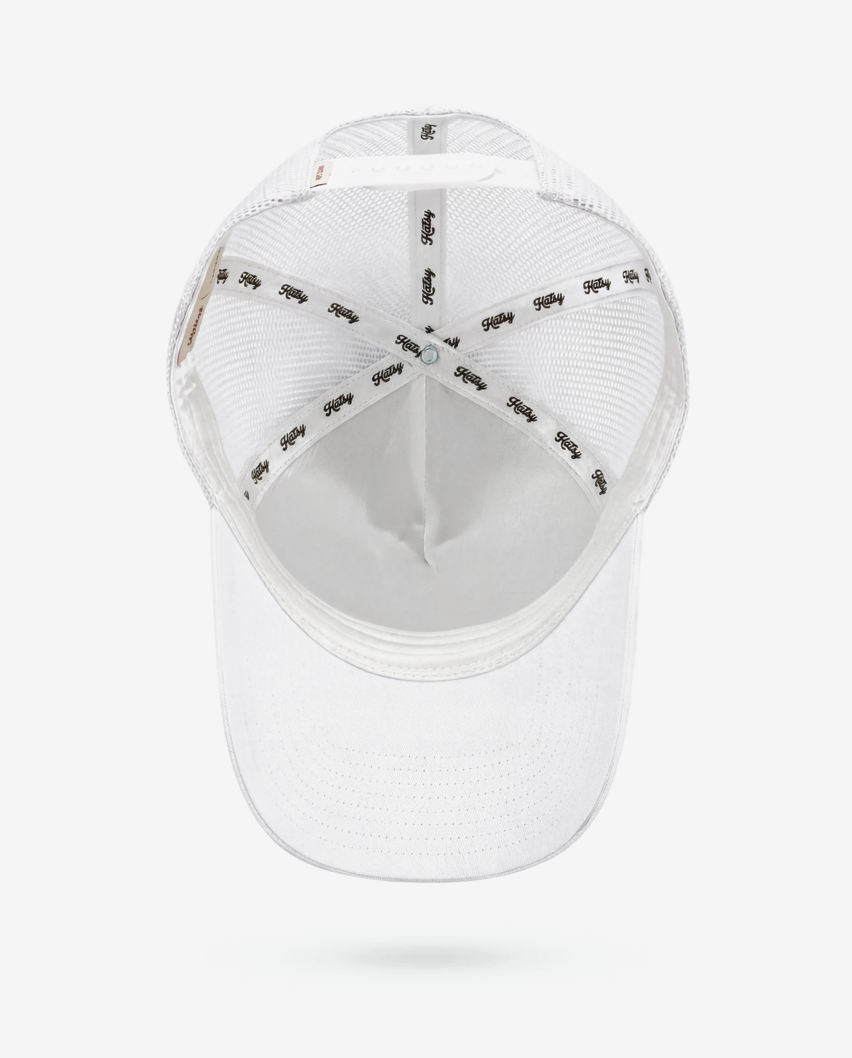 Glacier Trucker Hat