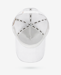 Glacier Trucker Hat