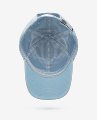 Tide Dad Hat