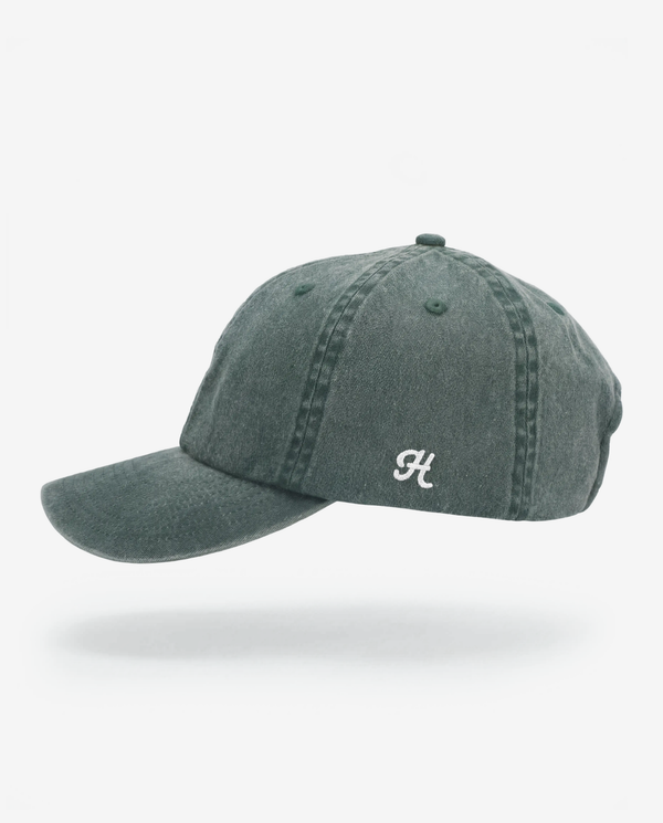 Mesa Dad Hat