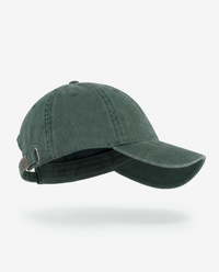 Mesa Dad Hat