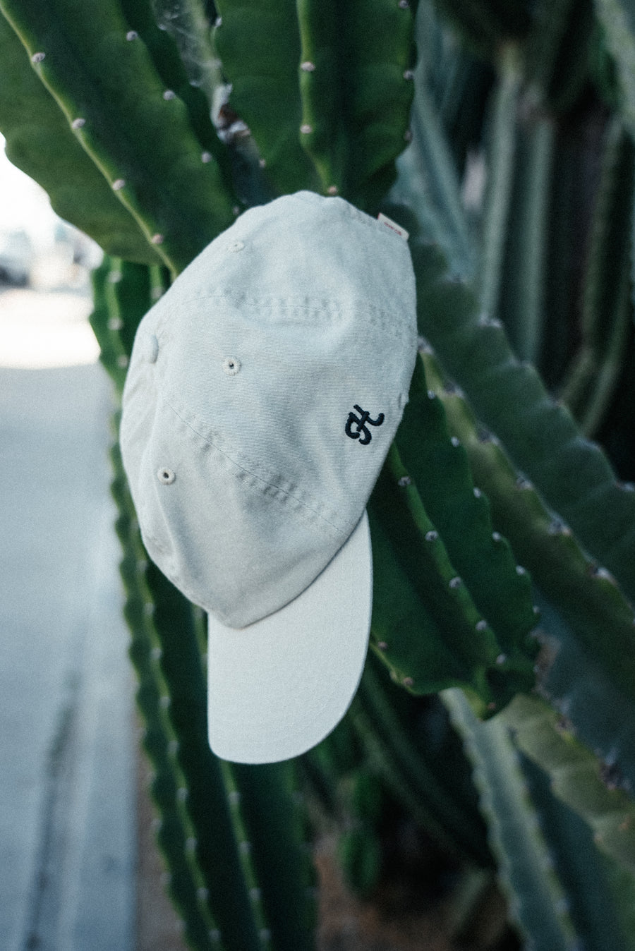 Dune Dad Hat