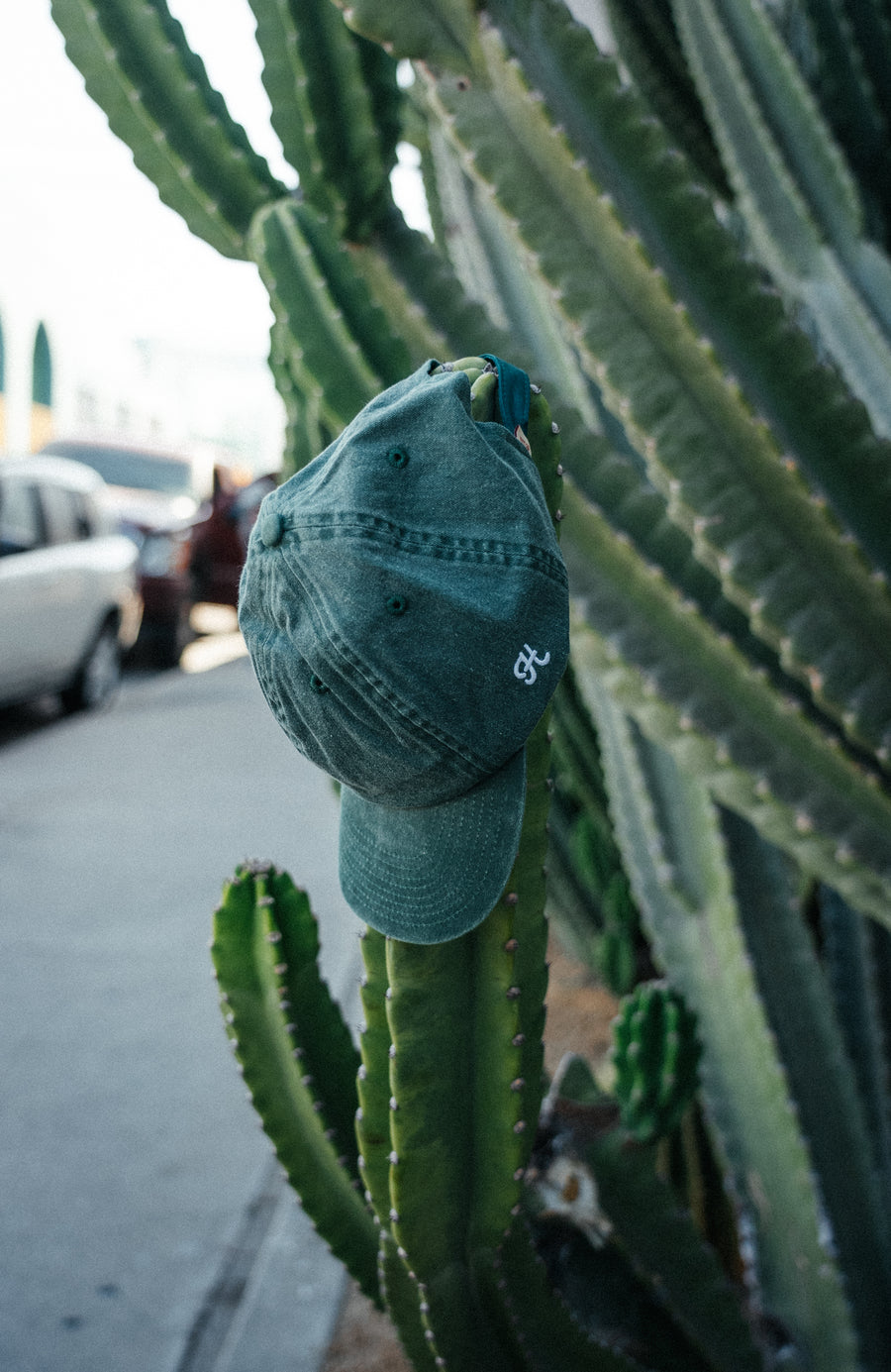 Mesa Dad Hat