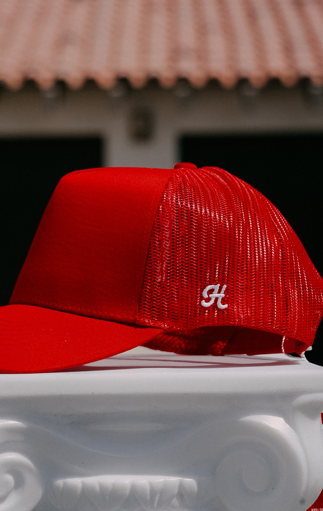 Canyon Trucker Hat