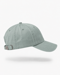 Tide Dad Hat
