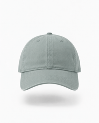 Tide Dad Hat